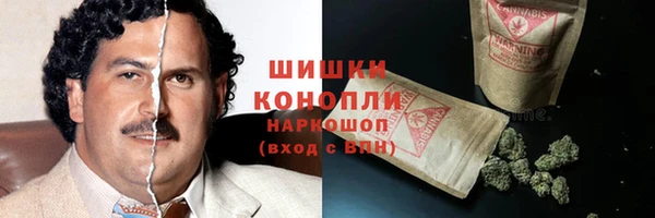 гидропоника Болотное