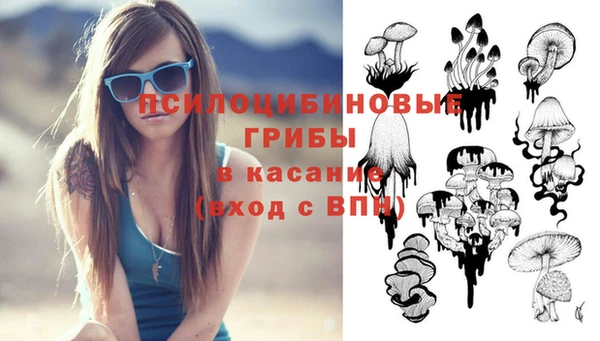 гидра Лагань
