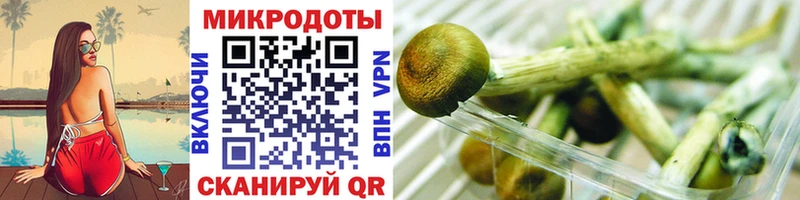 Галлюциногенные грибы Psilocybe  сколько стоит  Удачный 